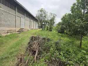 Urgent Warehouse Sale at Sheger City