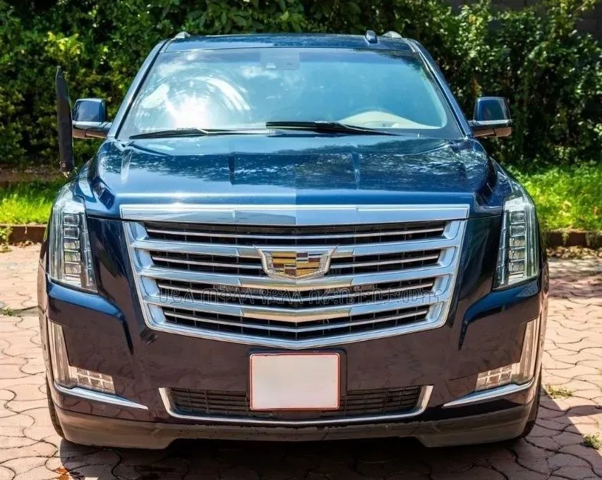 Cadillac Escalade 2018 Beige
