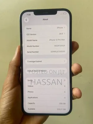 Apple iPhone 12 Pro Max 256 GB Black