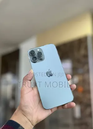 Apple iPhone 13 Pro Max 256 GB Gray