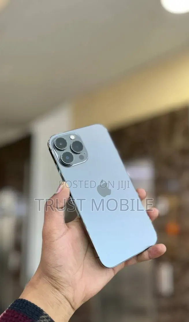 Apple iPhone 13 Pro Max 256 GB Gray