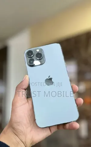 Apple iPhone 13 Pro Max 256 GB Gray