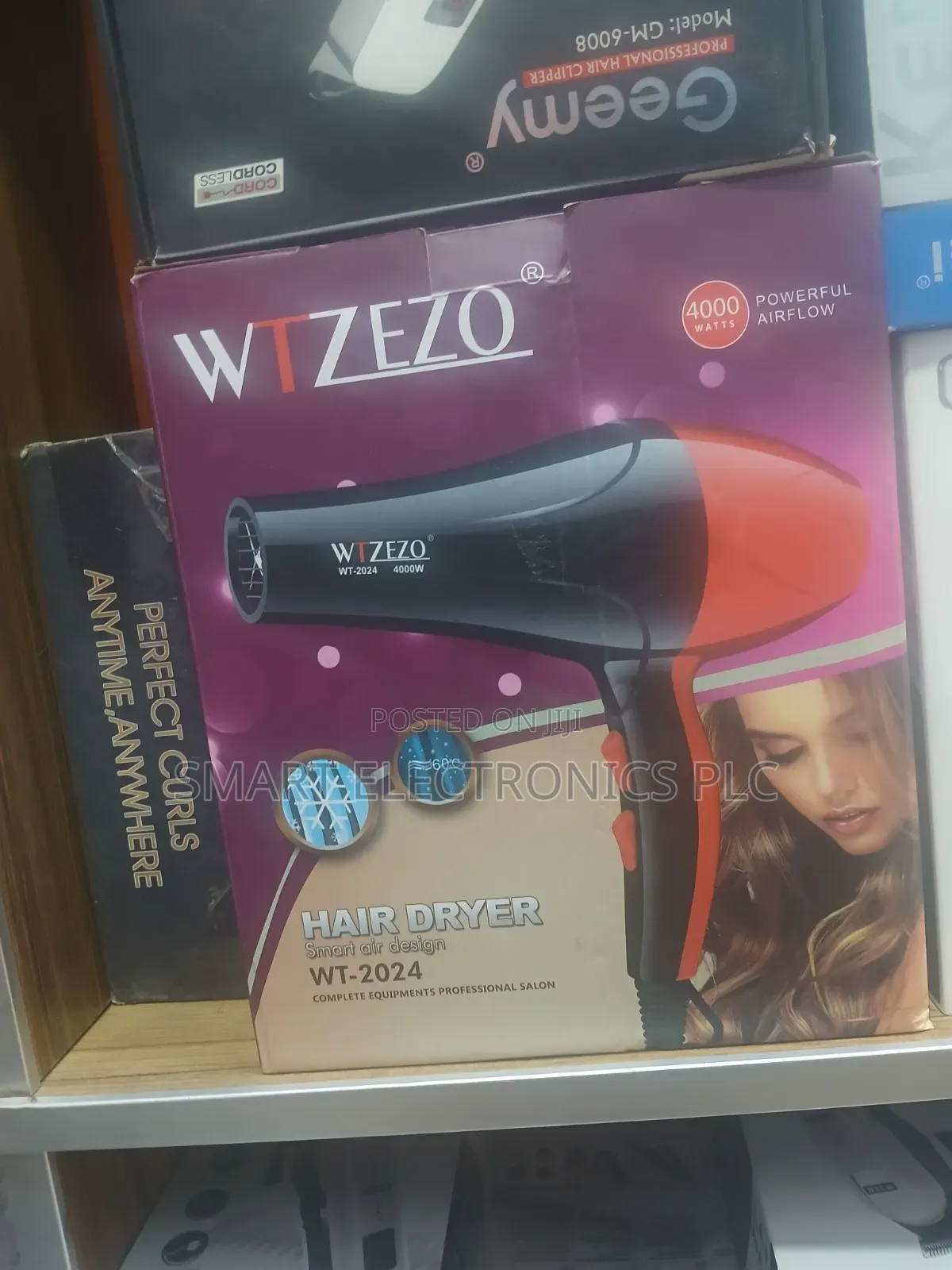 WTZEZO WT-2024 Professional Hair Dryer Features a 4000-Watt Moto
