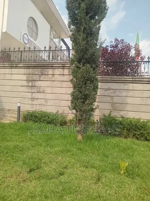 7bdrm House in G+3, Bole for rent