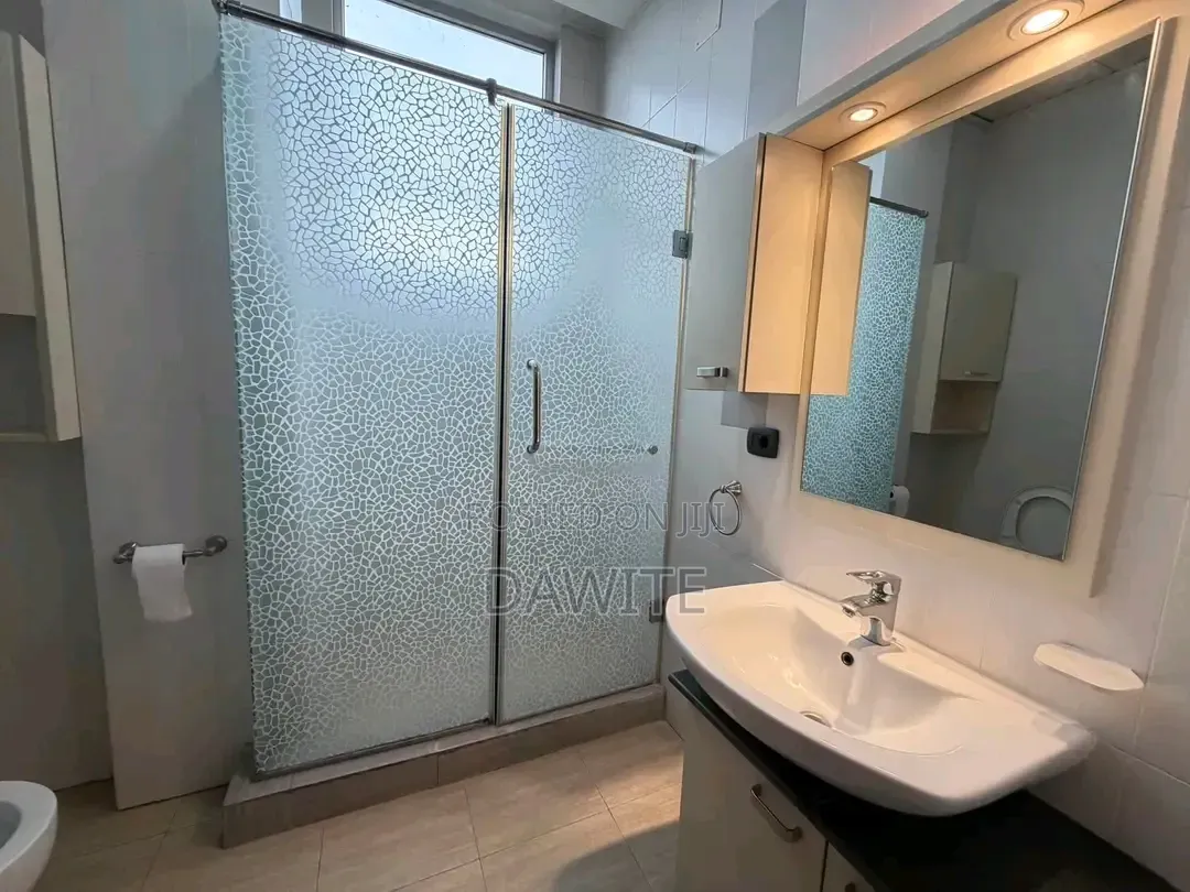 Furnished 3bdrm Apartment in የግል, Bole for sale