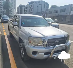 Toyota Tacoma 2007 Gray
