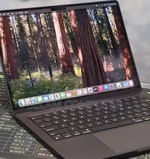 New Laptop Apple MacBook Pro 2024 M4 16GB Apple M4 SSD 512GB