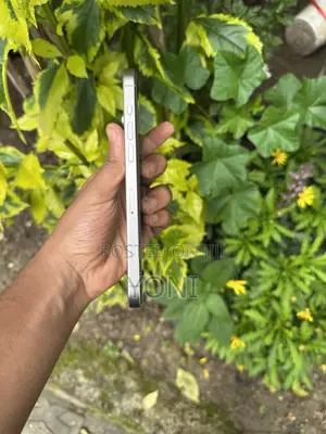New Apple iPhone 15 Pro Max 256 GB Silver