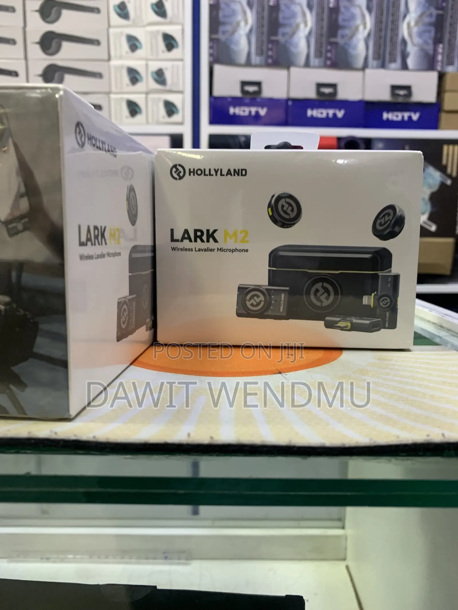 Holly Land larkM2 Mic