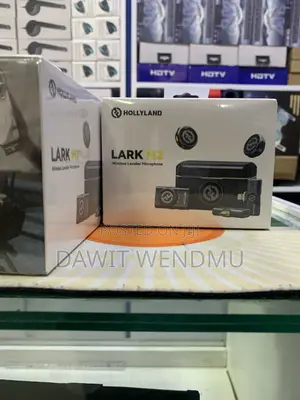 Holly Land larkM2 Mic