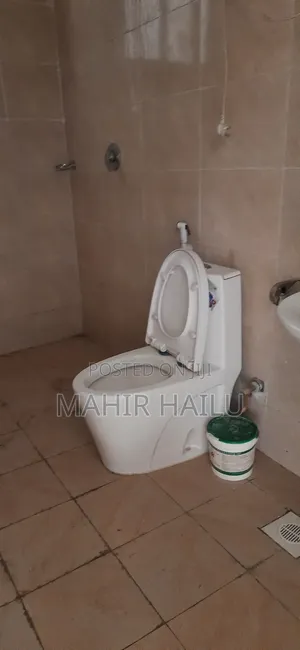 2bdrm Apartment in Gets, Bole for rent
