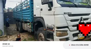 Sino Casoni for Sale