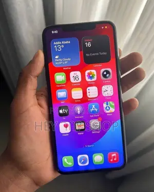 Apple iPhone 11 Pro Max 256 GB Gray