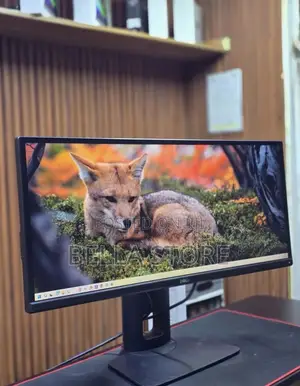 Dell 29 Inch Monitor