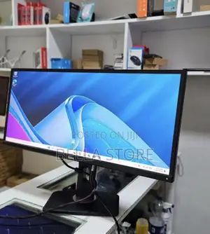 Dell 29 Inch Monitor