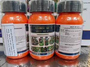Axobest አዞቤስት