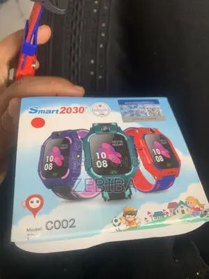 For the Smart 2030 Model C002 Children's Smartwatch,