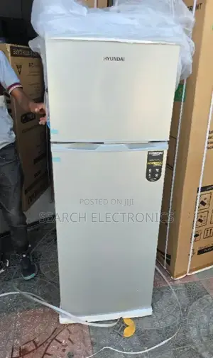 Hyundai 350,litr Cooler Seastem Tefrigerator