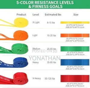 8. Premium Loop Bands | Gym Home Fitness