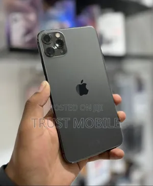 Apple iPhone 11 Pro Max 256 GB Blue