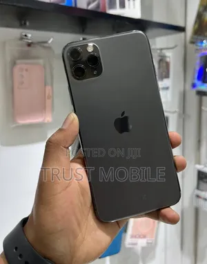 Apple iPhone 11 Pro Max 256 GB Blue