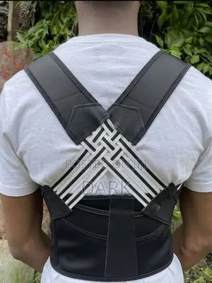 Adjustable Back Support Brace