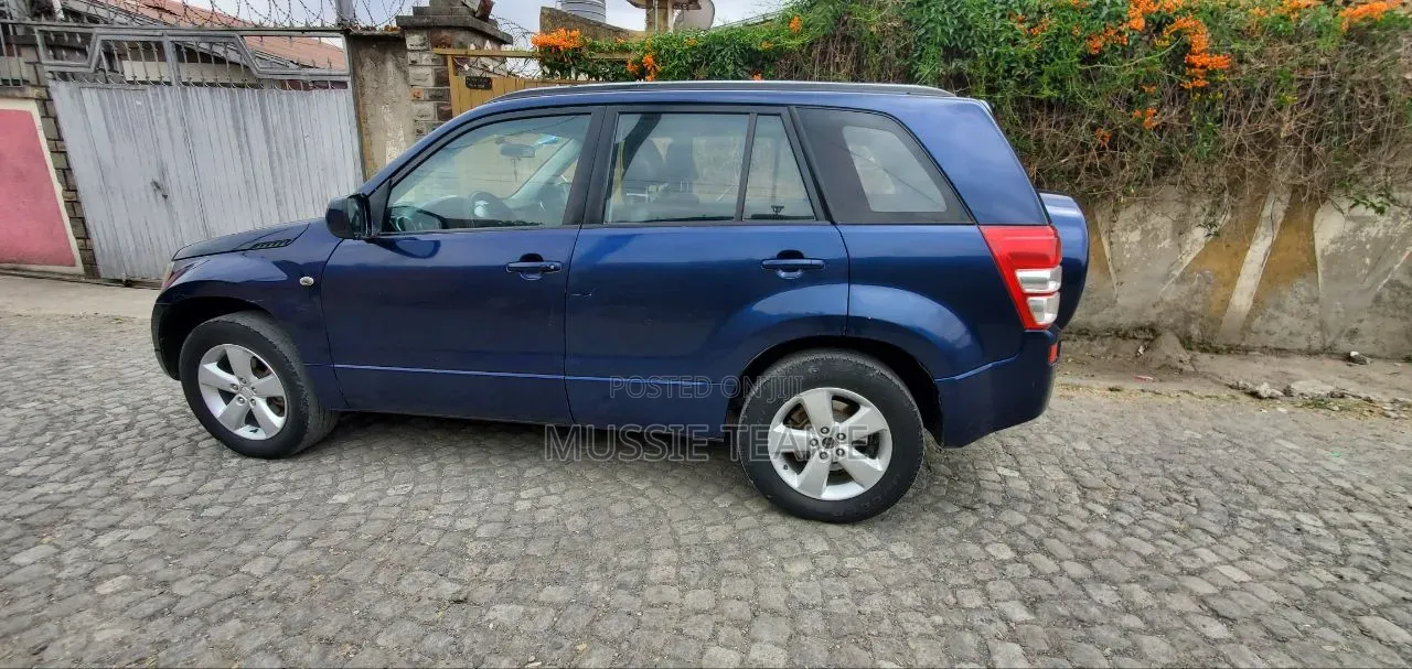 Suzuki Vitara 2009 Blue