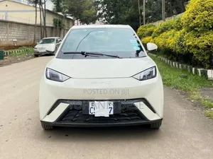 BYD Seagull 2024