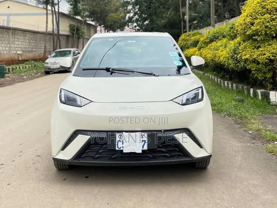 BYD Seagull 2024