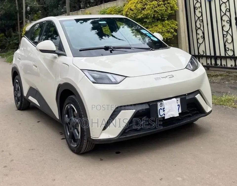 BYD Seagull 2024