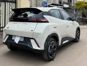 BYD Seagull 2024