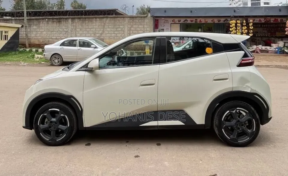 BYD Seagull 2024