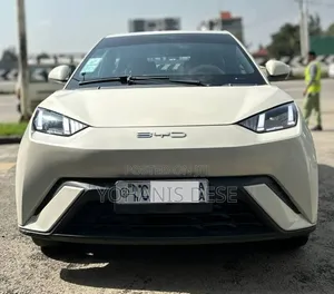 BYD Seagull 2023