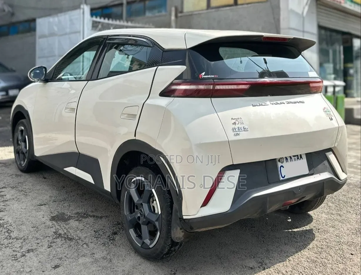 BYD Seagull 2023