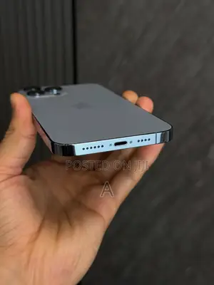 New Apple iPhone 13 Pro Max 256 GB Blue