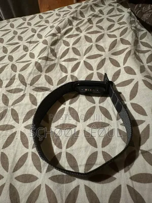 Google Fitbit Air 2026