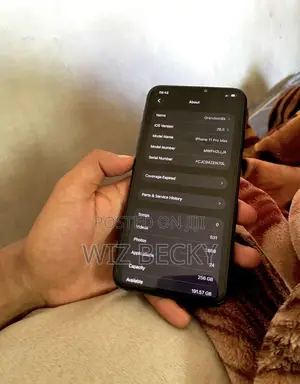 Apple iPhone 11 Pro Max 256 GB Green