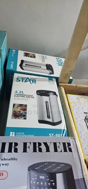 Winning Star 4.2L Thermostatic Electric Kettle የኤሌክትሪክ ውሃ ማፍያ የማያቀዘቅዝ