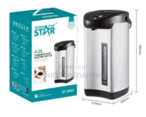 Winning Star 4.2L Thermostatic Electric Kettle የኤሌክትሪክ ውሃ ማፍያ የማያቀዘቅዝ