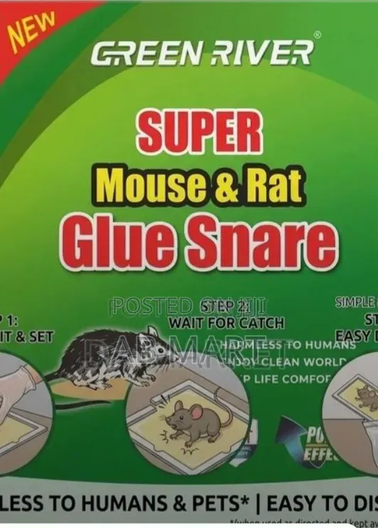 Mouse Glue Trap የአይጥ መያዣ ማጣበቂያ