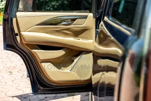 Cadillac Escalade 2017 Gray