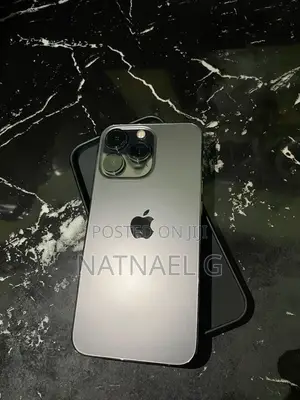Apple iPhone 13 Pro Max 256 GB Silver