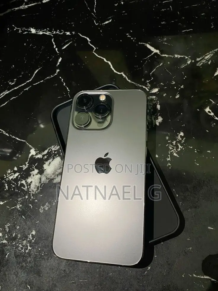 Apple iPhone 13 Pro Max 256 GB Silver
