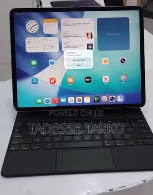 New Apple iPad Pro 256 GB Gray