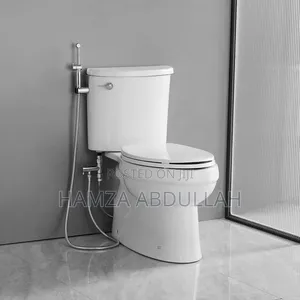 Seat Bidet Toilet