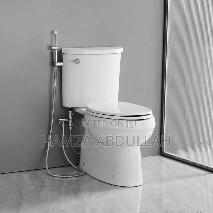 Seat Bidet Toilet