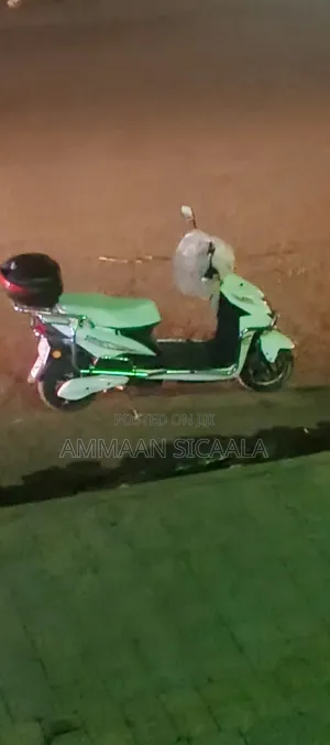 Bajaj 2024 White