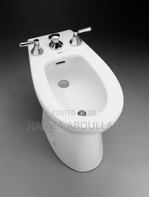 Bidet Seat