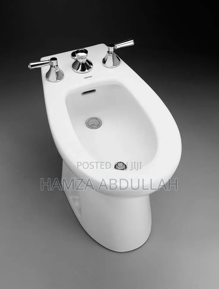Bidet Seat