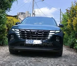 Hyundai Tucson 2022 Blue